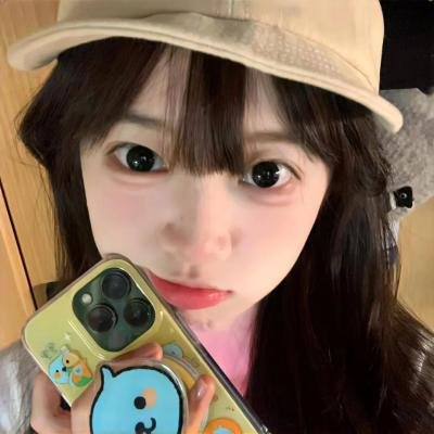 野生动物：无与伦比的有袋动物-树袋熊